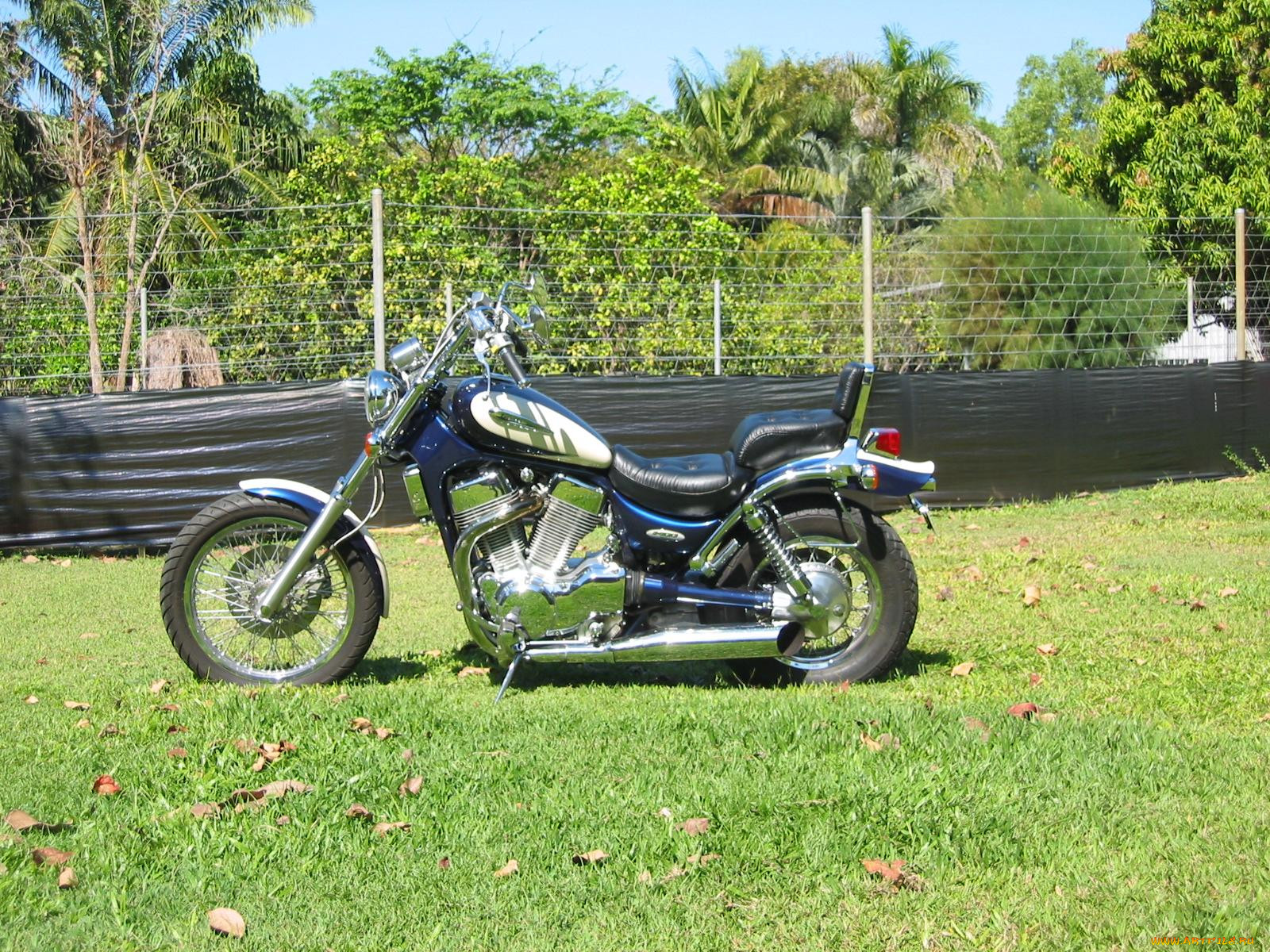 suzuki, 1400, 